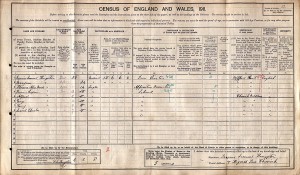  Census 1911.Kingston (1)